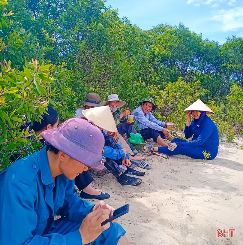 Cán bộ và người dân vùng đất cát Hà Tĩnh kéo xe “giải cứu” cây xanh