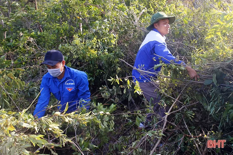 Dựng đường băng cản lửa - giải pháp cấp bách cứu rừng