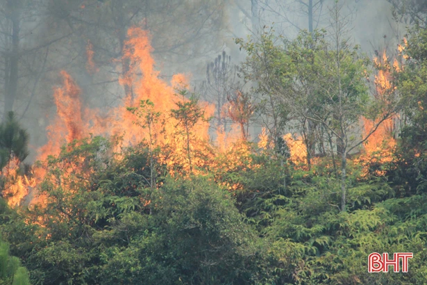 Cháy rừng ở Nghi Xuân: Lực lượng chức năng ngăn đám cháy bùng phát trở lại