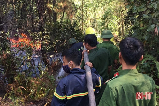 Chuyện những người “cõng nước” cứu rừng