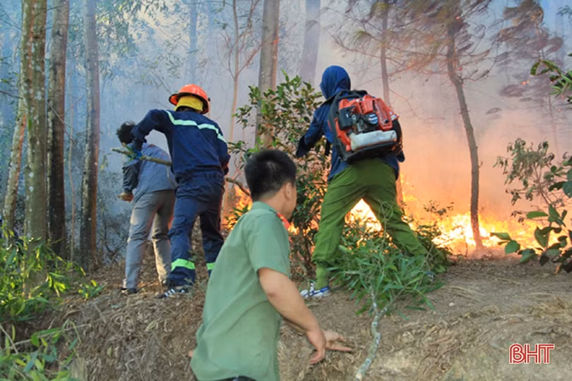 Đám cháy bùng phát trở lại, rừng Nghi Xuân nằm trong biển lửa
