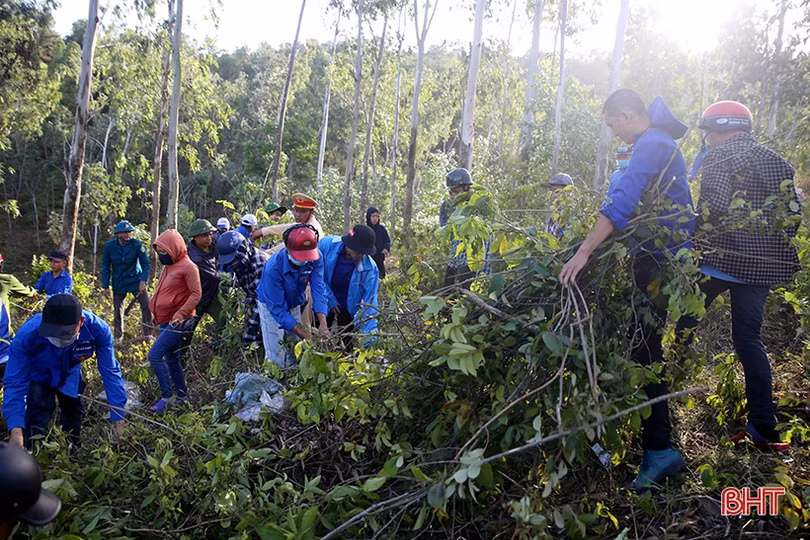 Dựng đường băng cản lửa - giải pháp cấp bách cứu rừng