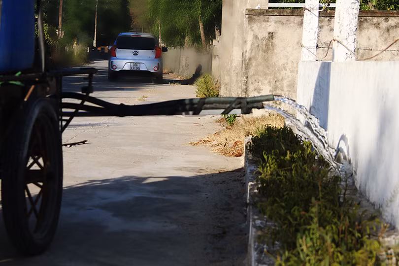 Cán bộ và người dân vùng đất cát Hà Tĩnh kéo xe “giải cứu” cây xanh