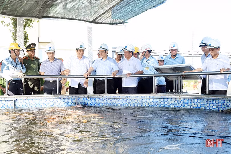 Trưởng ban Tổ chức Trung ương khảo sát nông thôn mới và KKT Vũng Áng