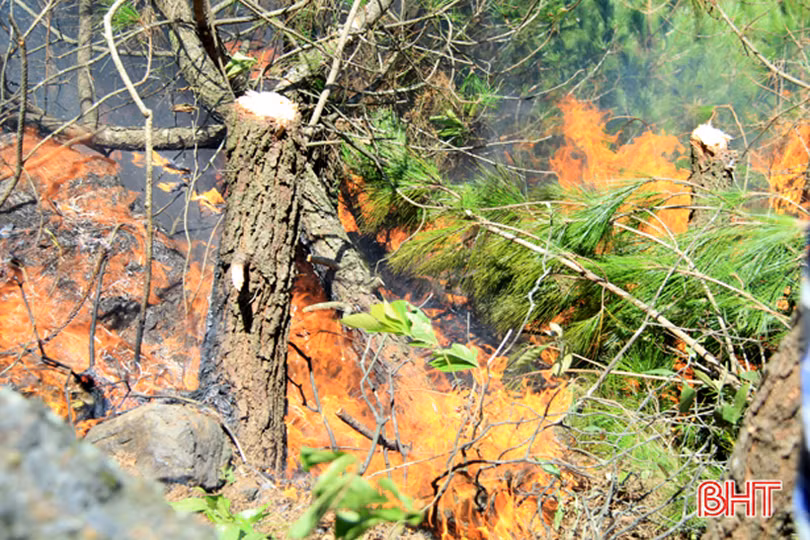 Hương Sơn: Tập trung lực lượng, phương tiện, sẵn sàng chữa cháy và di dời các hộ dân gần bìa rừng