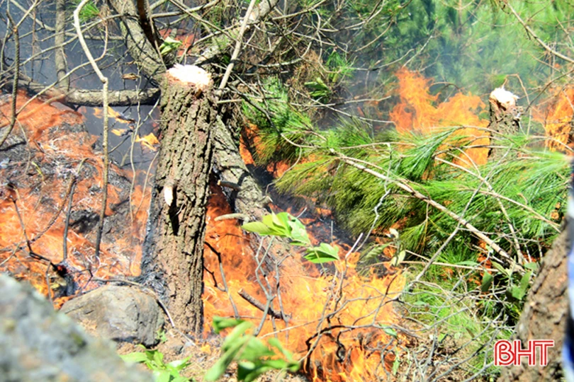 Lần thứ 3 đám cháy bùng phát, 500 người đổ về rừng Xuân Hồng dập lửa