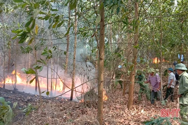 Liên tiếp cháy rừng ở các địa phương Hà Tĩnh