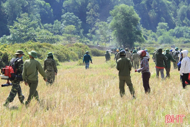 Cháy rừng ở Nghi Xuân: Lực lượng chức năng ngăn đám cháy bùng phát trở lại