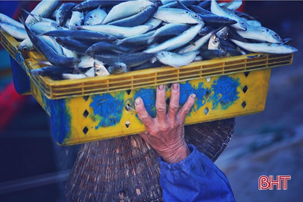 Đón bình minh sớm trên cảng Cửa Sót