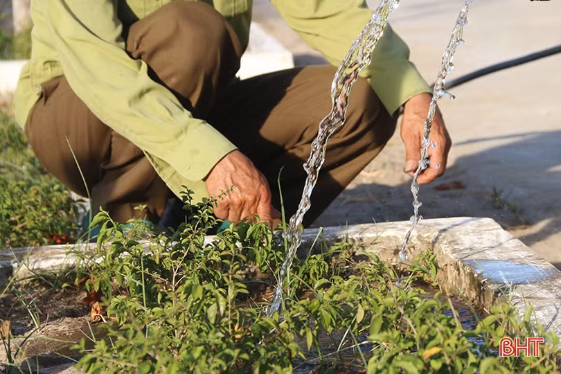 Cán bộ và người dân vùng đất cát Hà Tĩnh kéo xe “giải cứu” cây xanh