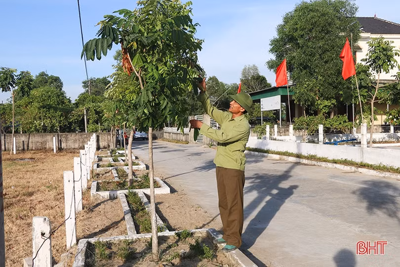 Cán bộ và người dân vùng đất cát Hà Tĩnh kéo xe “giải cứu” cây xanh