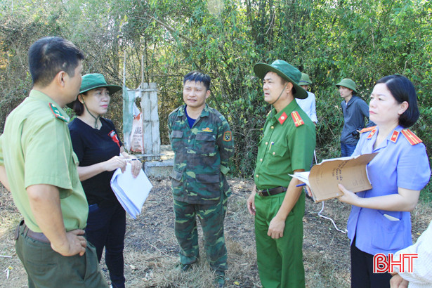 Truy tìm nguyên nhân cốt lõi gây ra vụ cháy rừng “khủng khiếp” ở Hà Tĩnh