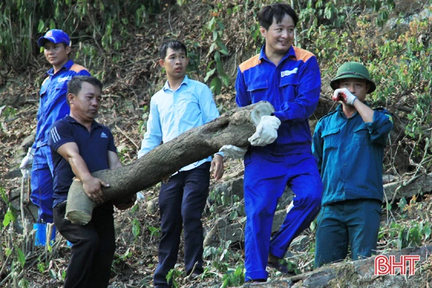 Liên quan đến vụ cháy rừng ở Nghi Xuân: Cơ quan điều tra tạm giữ một người đàn ông để làm rõ