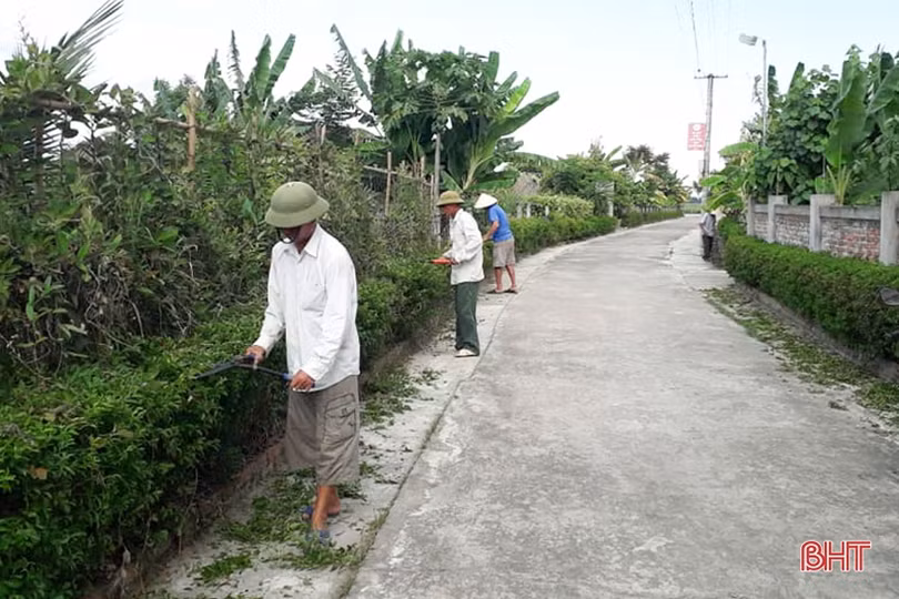 Cán bộ và người dân vùng đất cát Hà Tĩnh kéo xe “giải cứu” cây xanh