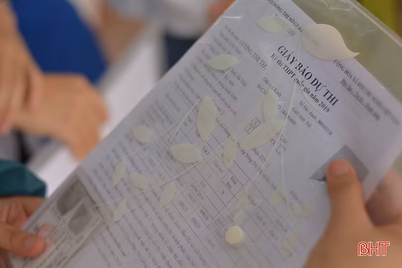 Sỹ tử Hà Tĩnh đội nắng, tự tin bước vào kỳ thi THPT quốc gia