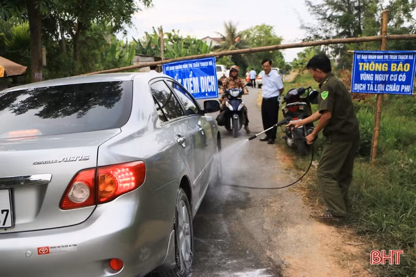 Dịch tả lợn châu Phi hoành hành: (Bài 2) “Lửa thử” ngành chăn nuôi Hà Tĩnh