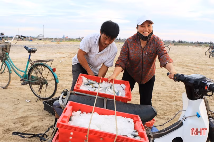 3 năm sau sự cố môi trường biển (bài 3): Ngư dân Hà Tĩnh vươn khơi trên tàu lớn, hải sản về đầy khoang