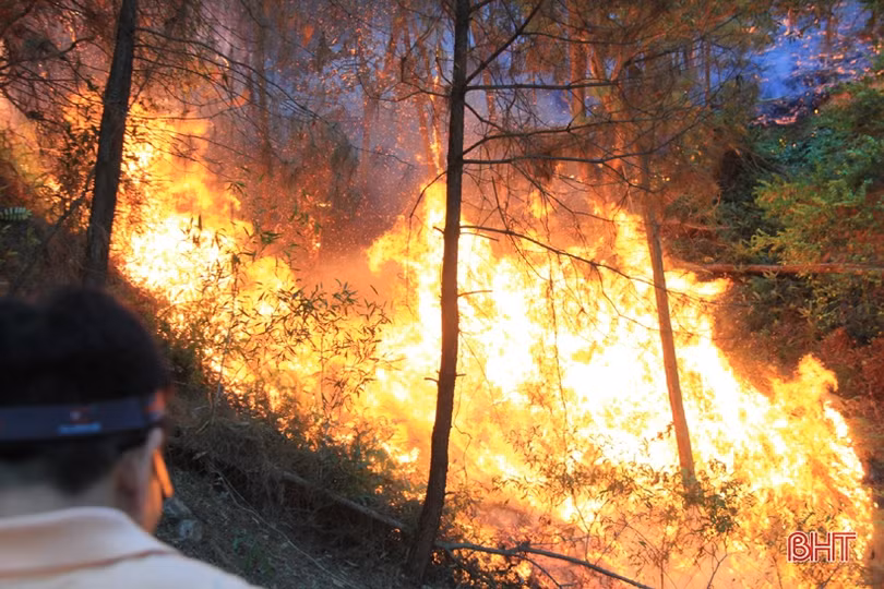 Đám cháy bùng phát trở lại, rừng Nghi Xuân nằm trong biển lửa