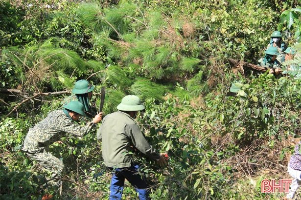 Cháy rừng ở Nghi Xuân: Lực lượng chức năng ngăn đám cháy bùng phát trở lại