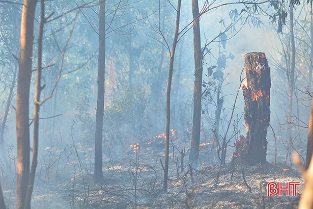 Liên tiếp cháy rừng ở các địa phương Hà Tĩnh