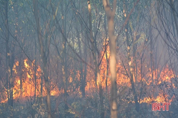 Liên tiếp cháy rừng ở các địa phương Hà Tĩnh