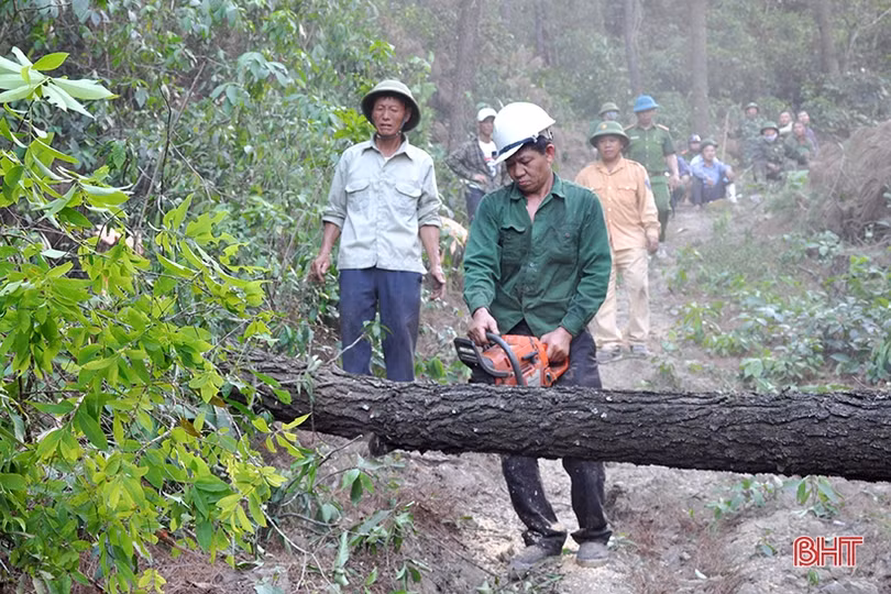 Dựng đường băng cản lửa - giải pháp cấp bách cứu rừng