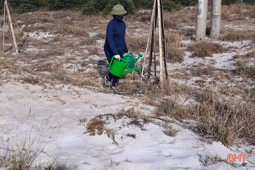 Cán bộ và người dân vùng đất cát Hà Tĩnh kéo xe “giải cứu” cây xanh