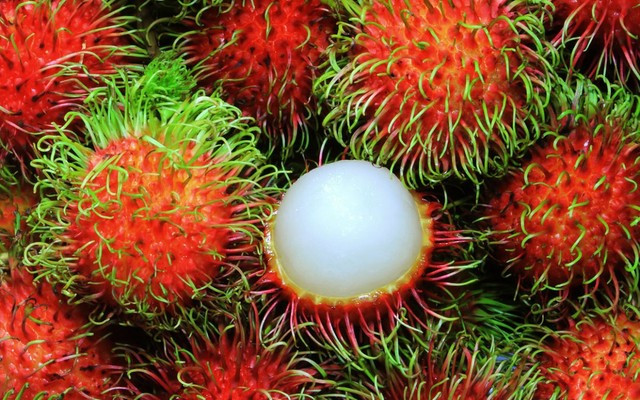 meo phan biet hoa qua chin cay hay chin thuoc