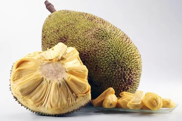 meo phan biet hoa qua chin cay hay chin thuoc