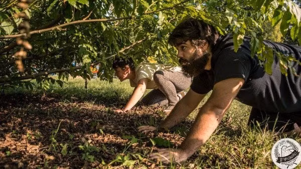 doc dao cuoc thi vo dich tron tim quoc te