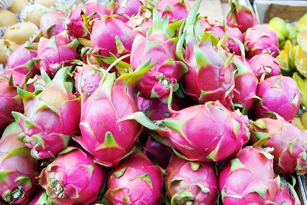 meo phan biet hoa qua chin cay hay chin thuoc
