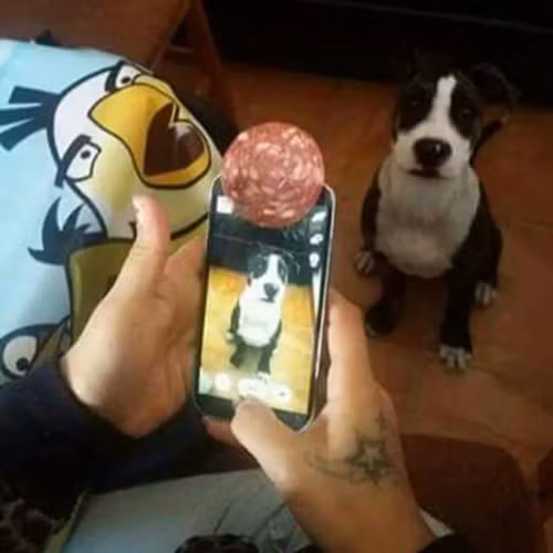 cuoi te ghe em chi dep khi khong thuoc ve ai