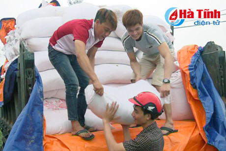 ke khai thiet hai do su co moi truong bien dung tien do dat yeu cau
