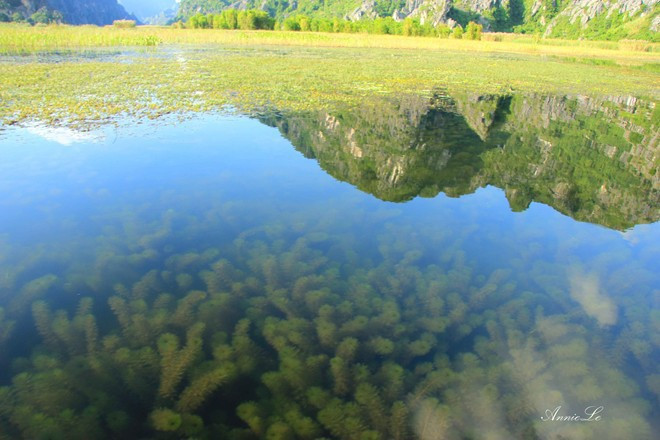 kham pha nhung dam nuoc dep nhat viet nam