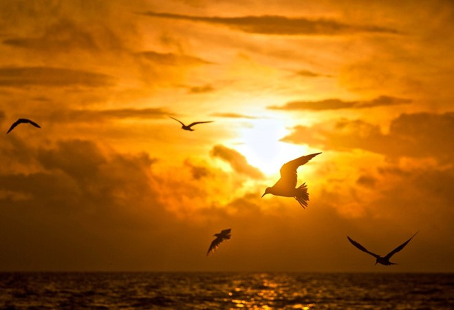 kham pha nhung dam nuoc dep nhat viet nam