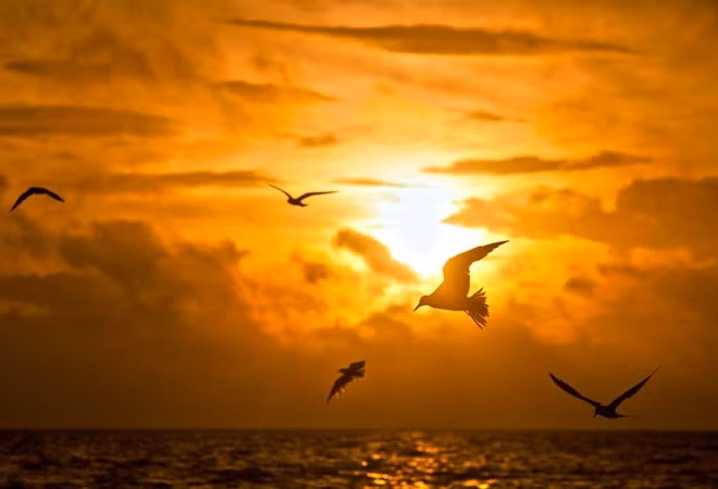 kham pha nhung dam nuoc dep nhat viet nam