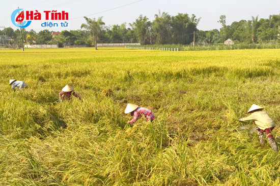 ha tinh vuot qua thach thuc ve dich thanh cong
