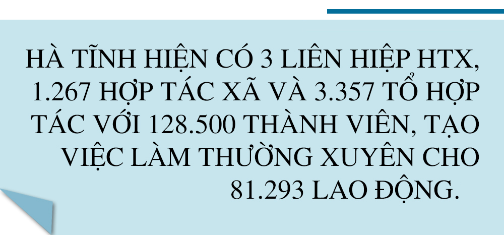 Lấy chất lượng làm thước đo, đưa kinh tế tập thể Hà Tĩnh “cất cánh” ảnh 4 Lấy chất lượng làm thước đo, đưa kinh tế tập thể Hà Tĩnh “cất cánh”
