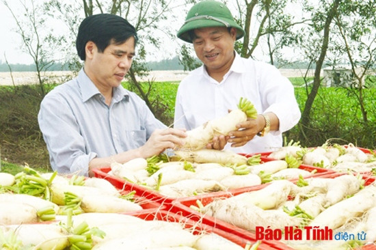 Tạo động lực thúc đẩy doanh nghiệp Hà Tĩnh phát triển bền vững ảnh 3