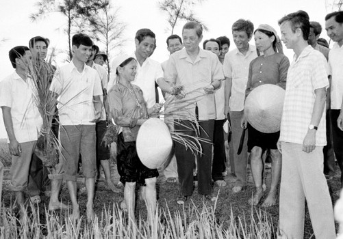 Tổng Bí thư Nguyễn Văn Linh thăm cánh đồng lúa của Hợp tác xã Hải Vân, huyện Hải Hậu trong chuyến về thăm và làm việc tại tỉnh Hà Nam Ninh từ ngày 25 đến 29/5/1988. Ảnh: Xuân Lâm - TTXVN