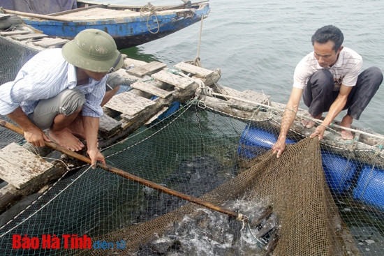 Xây dựng Lộc Hà thành trung tâm thương mại - dịch vụ và du lịch biển ảnh 2 Xây dựng Lộc Hà thành trung tâm thương mại - dịch vụ và du lịch biển ảnh 2