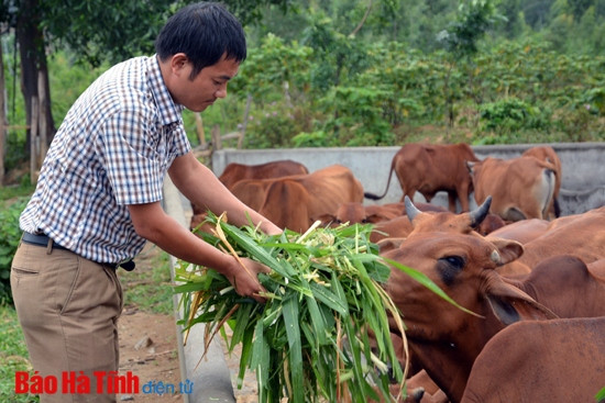 Chàng hướng dẫn viên và hành trình trở thành ông chủ trang trại ảnh 1