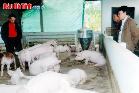 Thạch Hà nâng cao năng lực lãnh đạo, thực hiện thắng lợi các nhiệm vụ ảnh 3