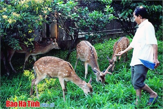 Hương Sơn bứt phá từ hai mũi nhọn kinh tế ảnh 1