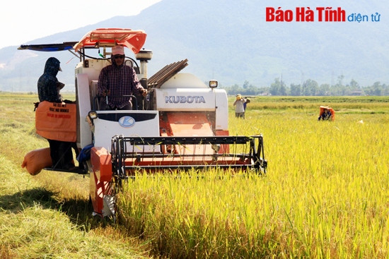 Can Lộc dồn sức xây dựng NTM (bài 2): Đồng hành cùng nhà nông ảnh 2