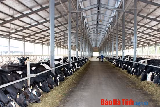 Hương Sơn dồn sức xây dựng khu kinh tế động lực phía Tây ảnh 2