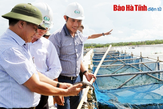 Tổng Kiểm toán Nhà nước: Hà Tĩnh phát triển vượt bậc trên các lĩnh vực ảnh 8 Tổng Kiểm toán Nhà nước: Hà Tĩnh phát triển vượt bậc trên các lĩnh vực ảnh 8