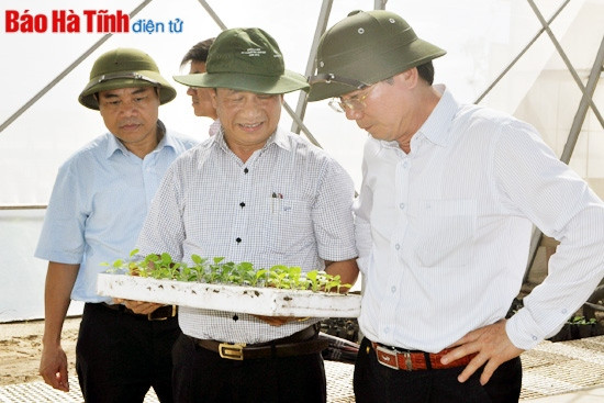 Tổng Kiểm toán Nhà nước: Hà Tĩnh phát triển vượt bậc trên các lĩnh vực ảnh 9 Tổng Kiểm toán Nhà nước: Hà Tĩnh phát triển vượt bậc trên các lĩnh vực ảnh 9