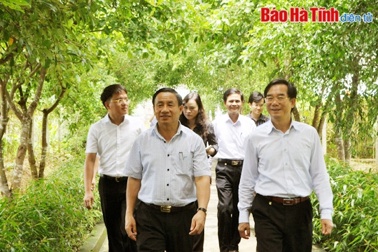 ... thăm Khu dân cư kiểu mẫu thôn Tân An (Cẩm Bình, Cẩm Xuyên)... ... thăm Khu dân cư kiểu mẫu thôn Tân An (Cẩm Bình, Cẩm Xuyên)...