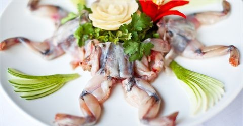 Ăn thịt cóc có thực sự tốt? ảnh 1